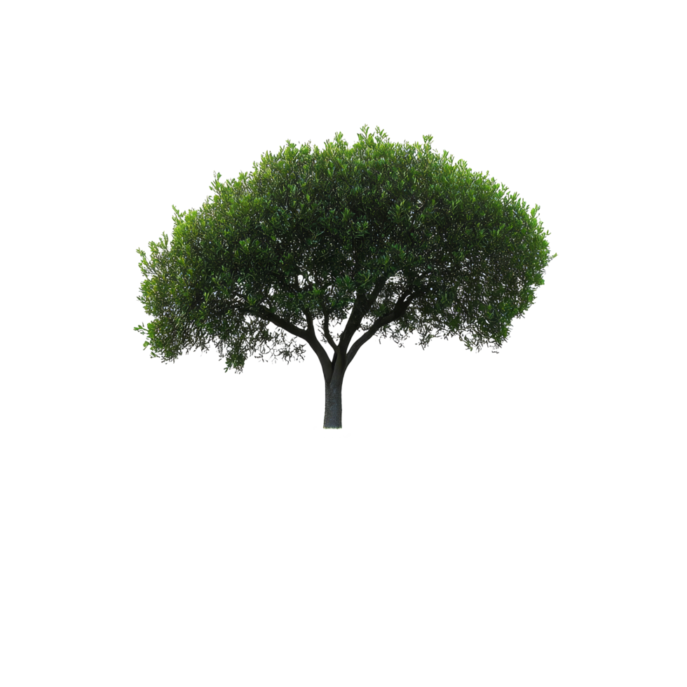 Isolated green tree on a grassy hill against a bright transparent background under clear skies, single tree on grass hillsetisolated on transparent background png