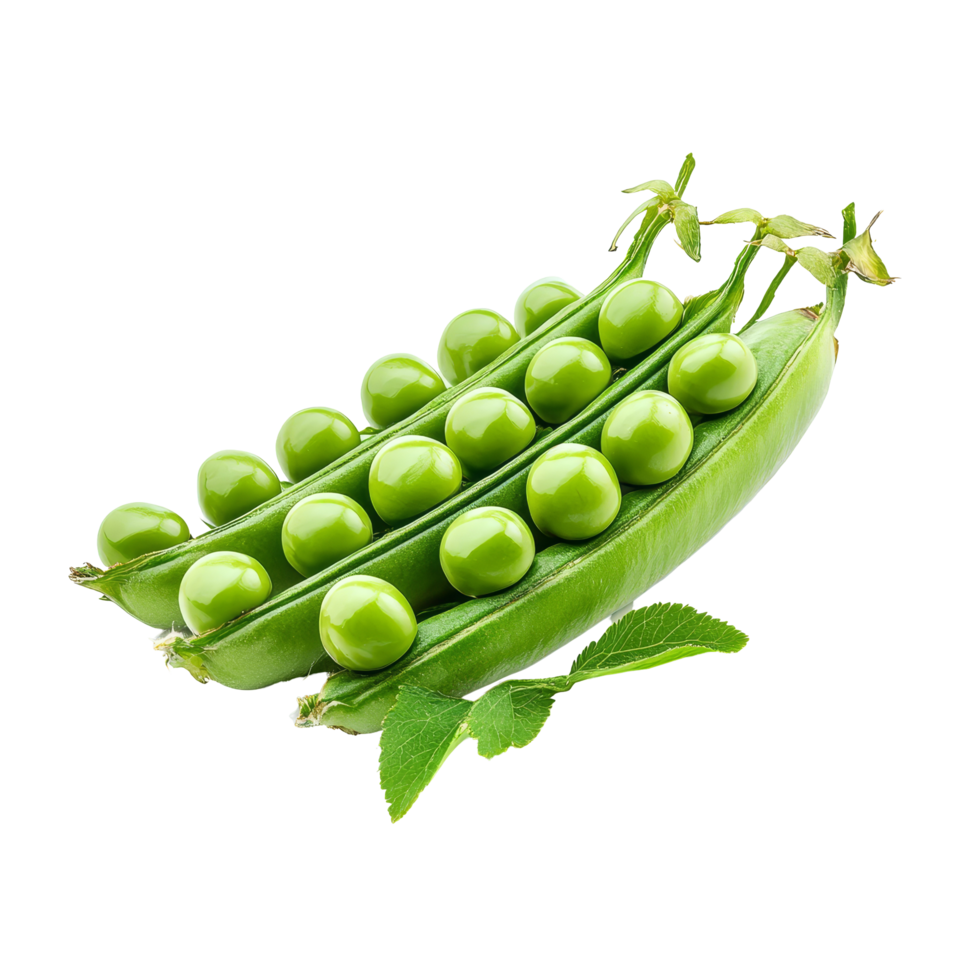 Fresh green peas displayed in pods against a clean transparent background, showcasing their vibrant color and texture, Peas star Incas on transparent background png