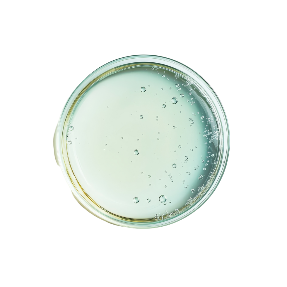Liquid in a petri dish with bubbles over a transparent background in a laboratory setting, Liquid in petri dish over transparent background flat lay png