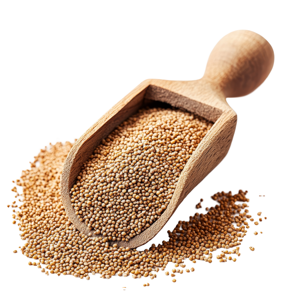 Amaranth seeds spilling from a wooden scoop on a transparent background showcasing their natural texture, amaranth seeds on wooden scoop on transparent background png