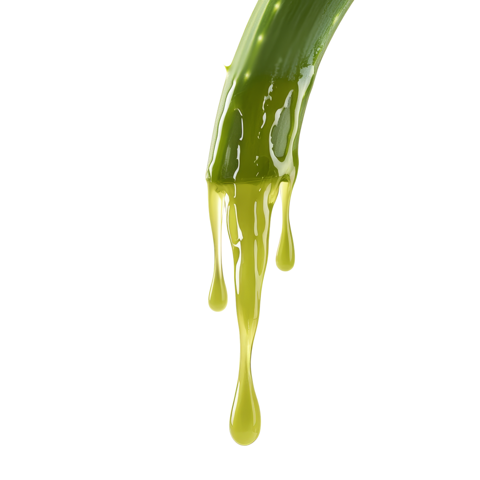 Aloe vera gel dripping from a leaf on a transparent background with a touch of transparent hue, Aloe vera dripping over transparent background png