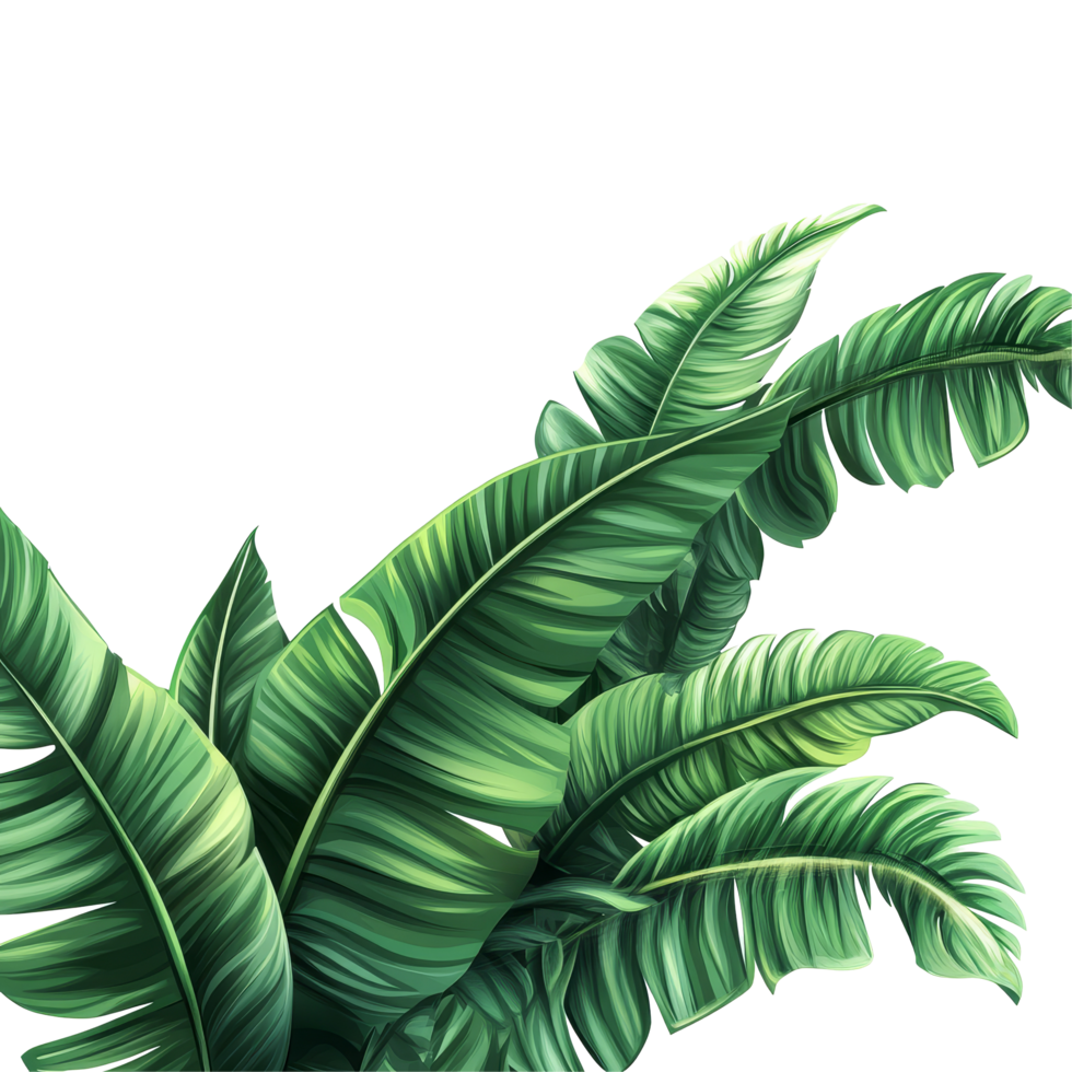 Lush tropical foliage with vibrant green leaves creating a serene jungle atmosphere in a bright setting, Tropical leaves foliage plant jungle bush floral png