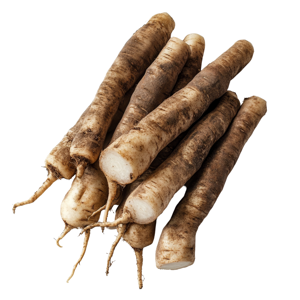 Fresh yacon roots displayed on a transparent background, highlighting their unique shape and texture for culinary uses, Fresh Yacon roots on transparent background png