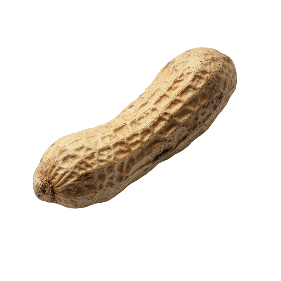 Isolated peanut on a clean transparent background showcasing its natural texture and shape in a studio setting, Peanut isolated png