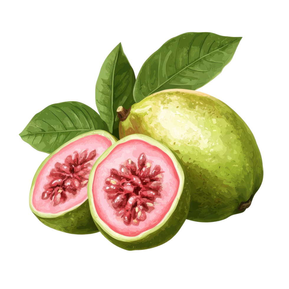 Fresh guava fruit displayed on a transparent transparent background showcasing vibrant colors and textures, Guava fruit isolated on ransparent transparent background png