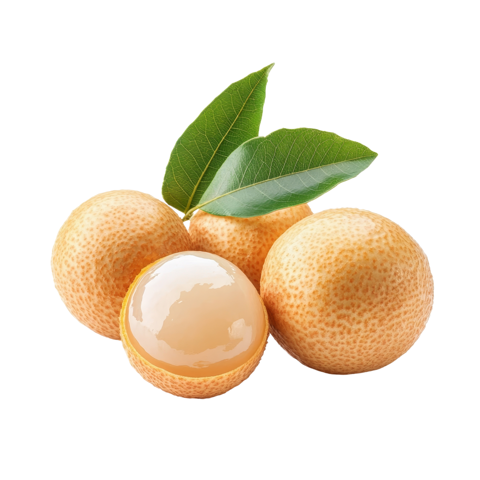 Fresh longan fruit with green leaf isolated on a transparent background showcasing its unique texture and color, fresh longan with leaf isolated on transparent background png