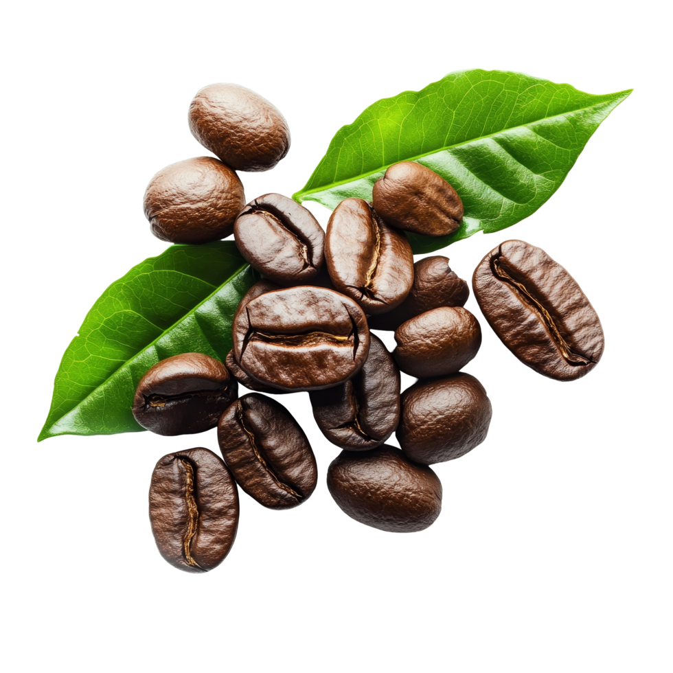 Coffee beans with fresh leaves isolated on a transparent background, showcasing their rich color and texture for a vibrant and natural look, coffee beans with leaves isolated on transparent background png