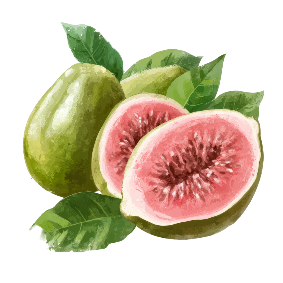 Fresh guava fruit on a transparent background showcasing its vibrant pink flesh and green leaves, Guava tropical fruit on transparent background png