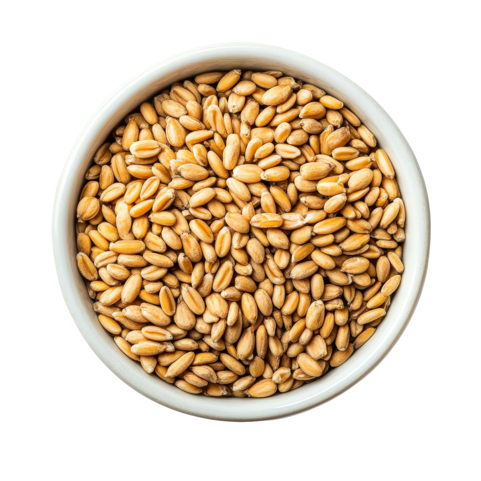 Wheat germ in a bowl on a transparent background, highlighting its nutritious and versatile culinary features, Wheat germ in a bowl on transparent background png