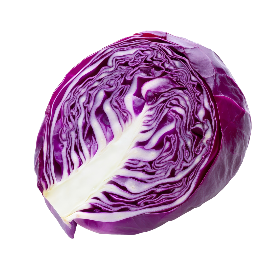 A vibrant slice of red cabbage isolated on a clean transparent background showcasing its intricate layers and color, Red cabbage one slice isolated on transparent background png