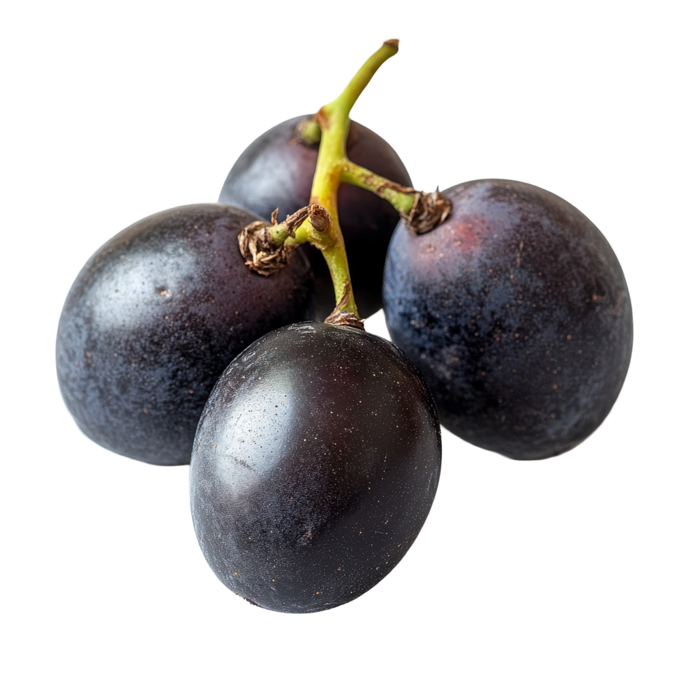 Burmese grape fruit clusters isolated on a transparent background highlighting their tropical charm and unique texture, burmese grape, tropical fruit isolated on transparent background png