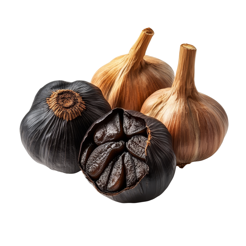 Black garlic bulbs isolated on a transparent background showcasing their unique texture and color, Black garlic bulbs isolated on transparent background png