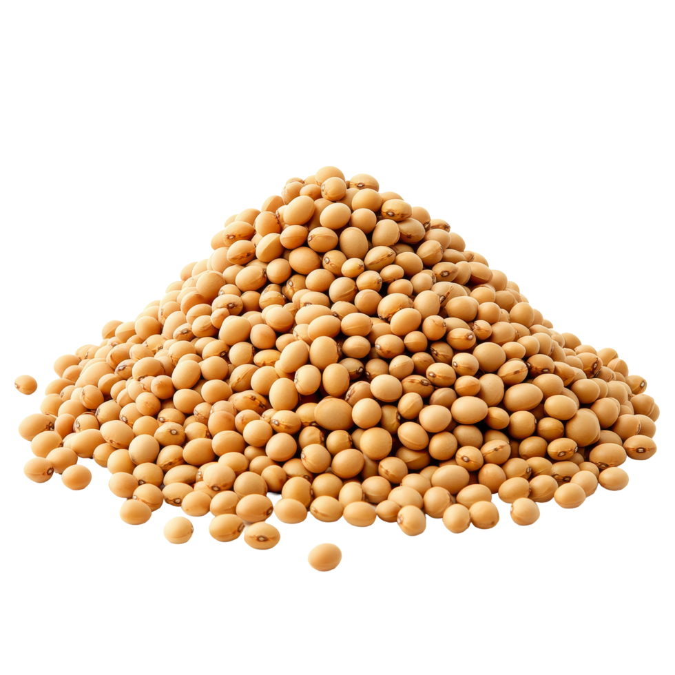 A heap of soybeans isolated on a transparent background for culinary and agricultural purposes, Heap of soybeans isolated on transparent background Clipping path included png