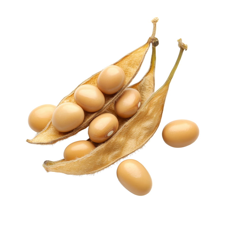 Freshly harvested soybean pods and seeds on a clean transparent background showcasing natural agricultural produce, Soybean isolated on transparent background png