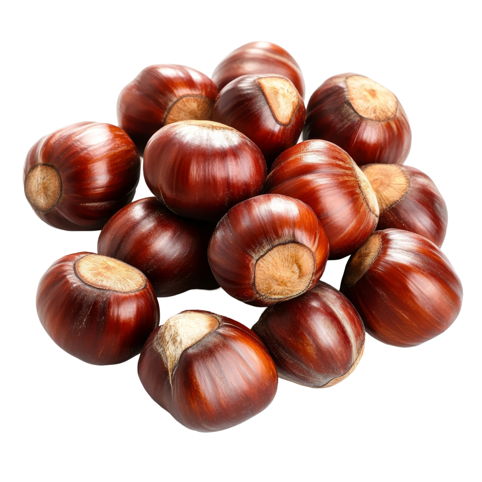 Organic chestnuts gathered on a transparent background ready for culinary uses and seasonal recipes, Organic chestnuts on a transparent background png