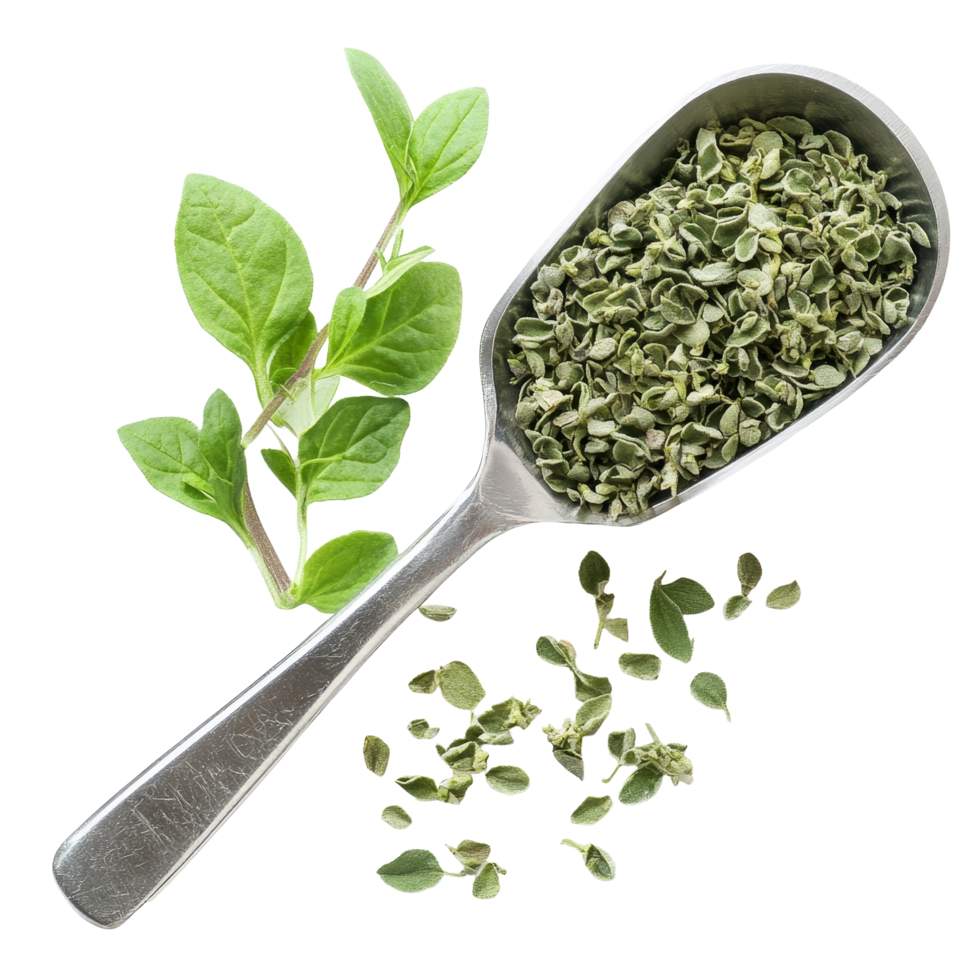Fresh oregano in a silver scoop alongside leaves on a transparent background perfect for culinary use, Oregano in scoop on transparent background png
