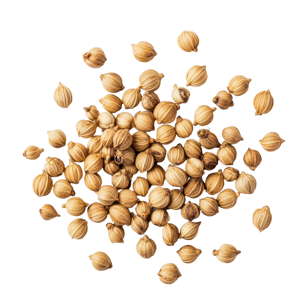 Coriander seeds scattered on a transparent surface, showcasing their unique texture and natural color for culinary and medicinal uses, Coriander seeds on transparent background png