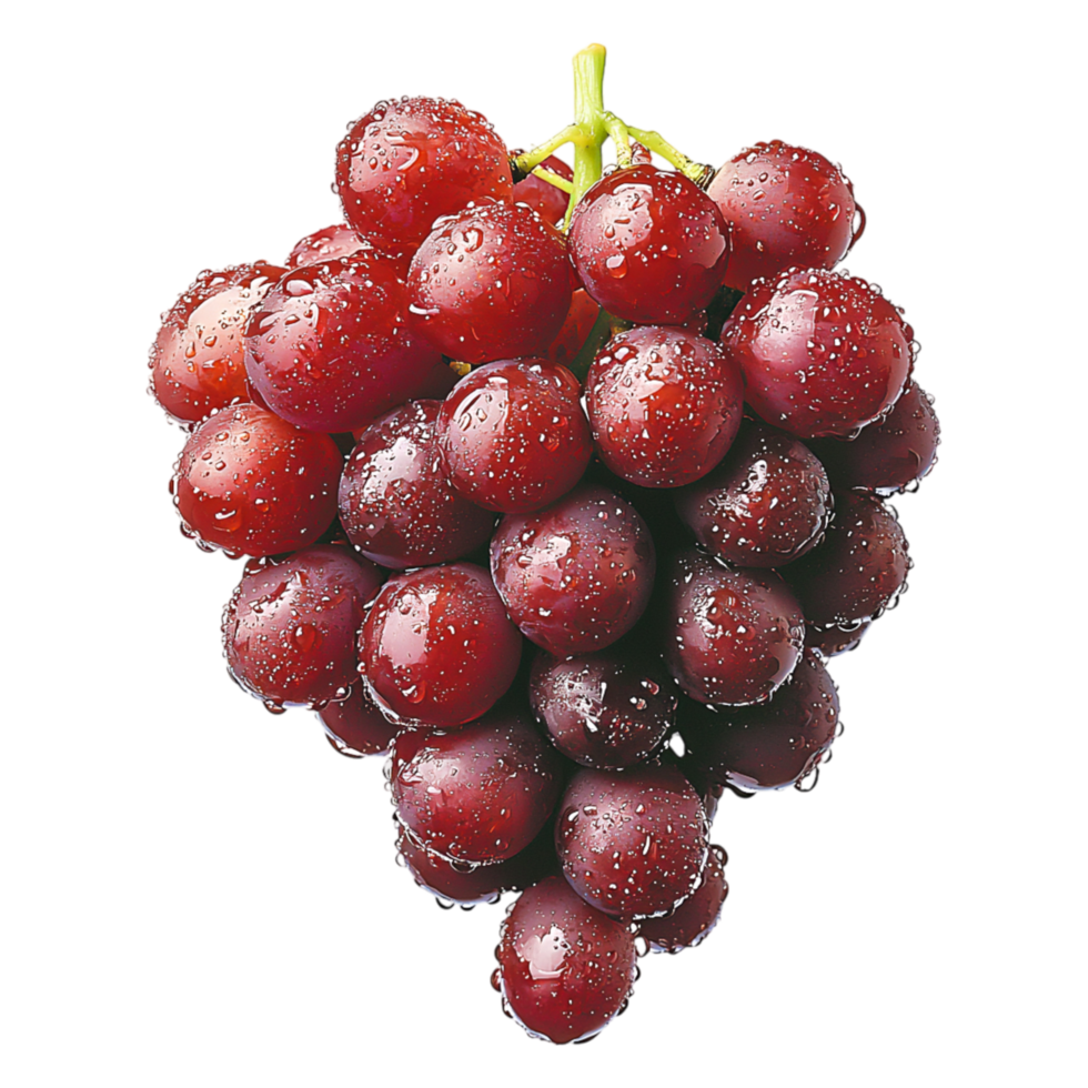 Fresh Red Grapes Cluster with Water Drops on png