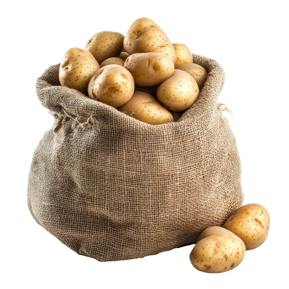 A burlap sack filled with fresh, unpeeled potatoes on a clean transparent background, Sack of potatoes isolated on transparent background png