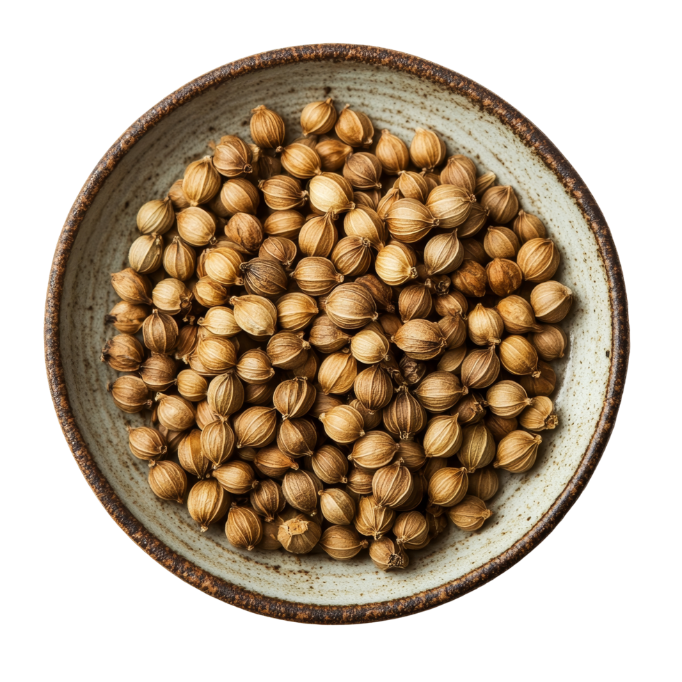 Coriander seeds displayed in a rustic bowl against a transparent background showcasing their natural texture and shape, coriander seeds in plate on transparent background png