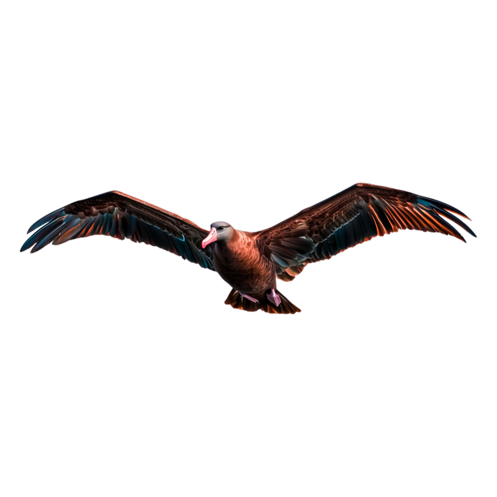 Majestic Bird in Flight with Outstretched Wings Against a Clear Sky png