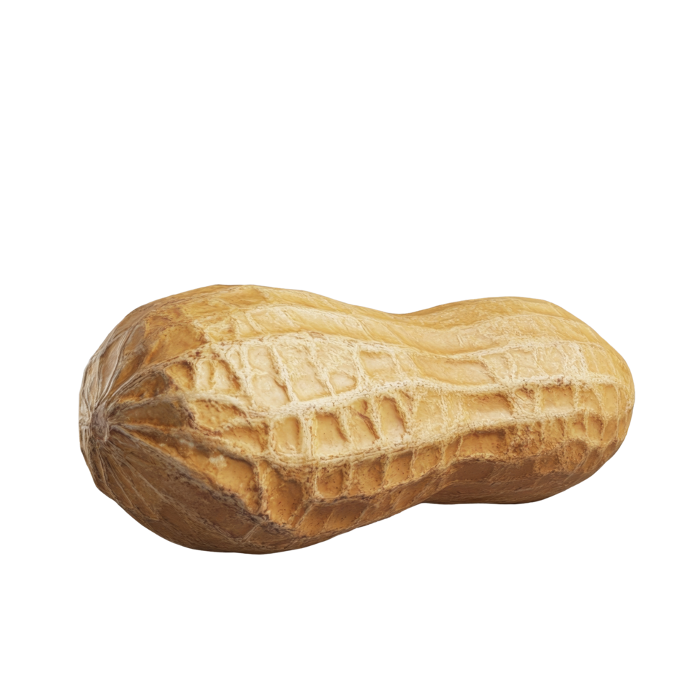 Isolated peanut with textured shell against a neutral background highlighting its natural shape and color, Peanut isolated png