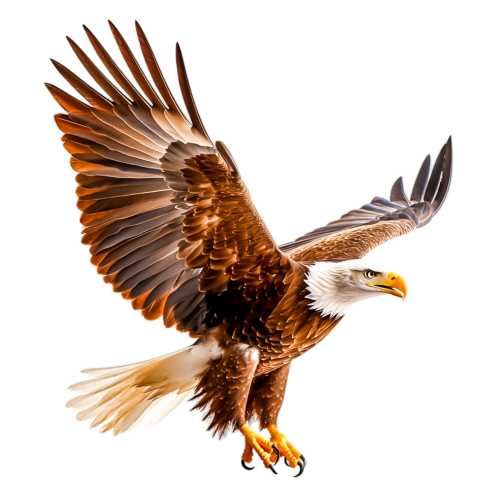 Majestic Bald Eagle Spreading Wings Against png