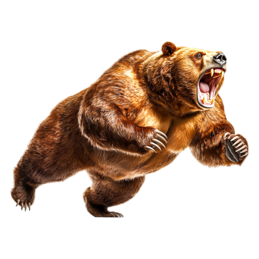 Powerful Grizzly Bear Roaring in Mid-Run on Isolated Background png