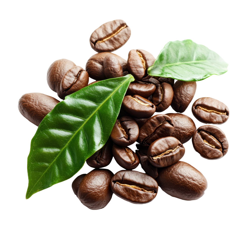 Isolated coffee beans with fresh green leaves on a transparent background showcasing the natural beauty and essential components of coffee, coffee beans with leaf isolated on transparent background png