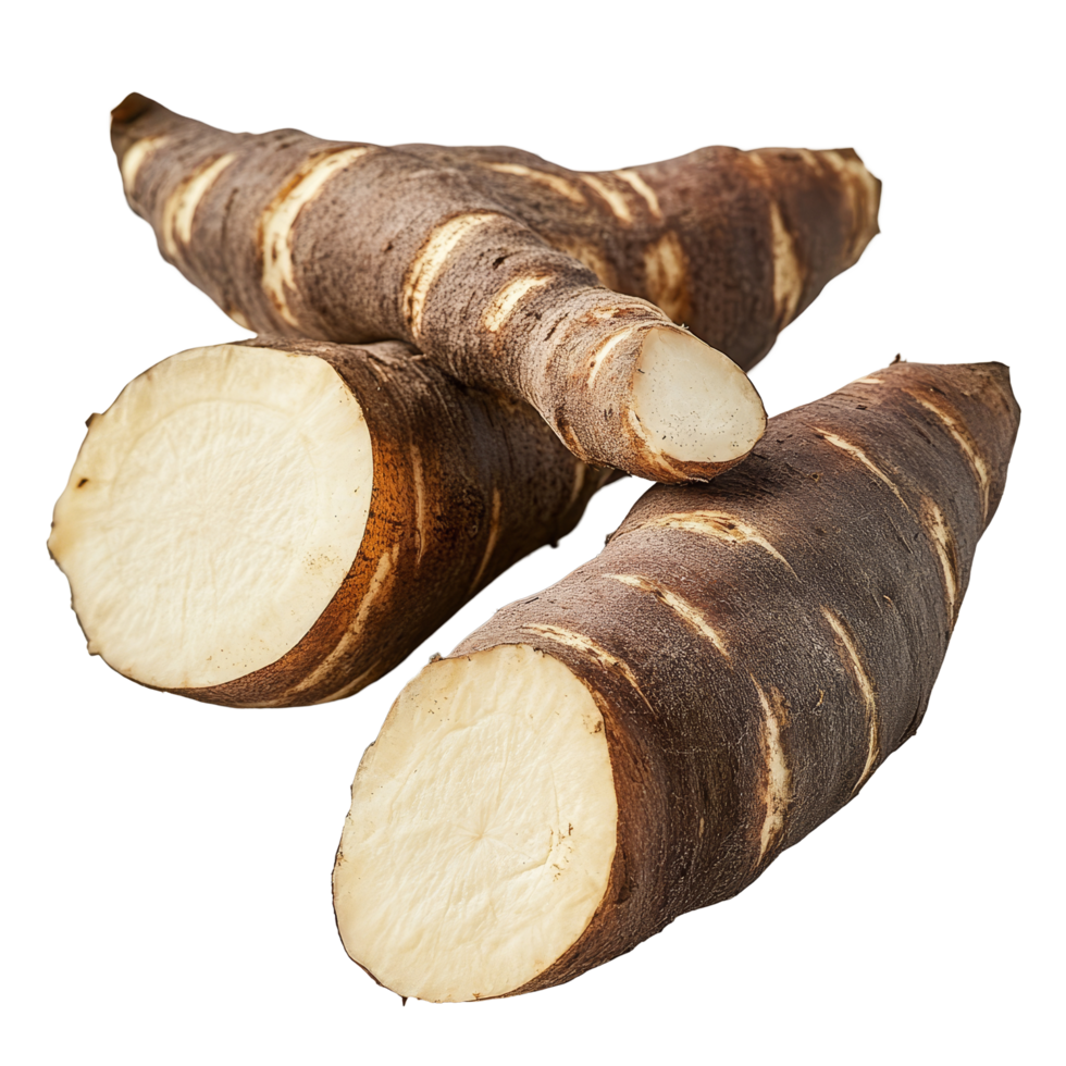Yacon smallanthus sonchifolius tubers displayed on a clean transparent background illustrating its unique shape and texture, yacon smallanthus sonchifolius on transparent background png