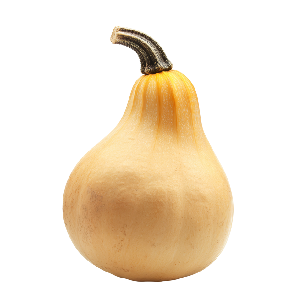 Butternut squash displayed prominently with a smooth texture against a clean transparent background, butternut squash isolated on transparent background png