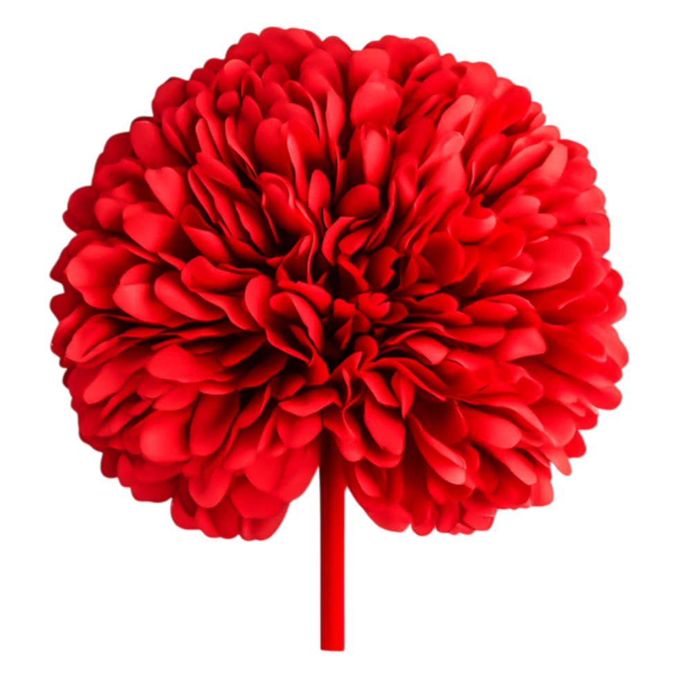 Bright Red Flower with Full Bloom Petals on a Simple Background png