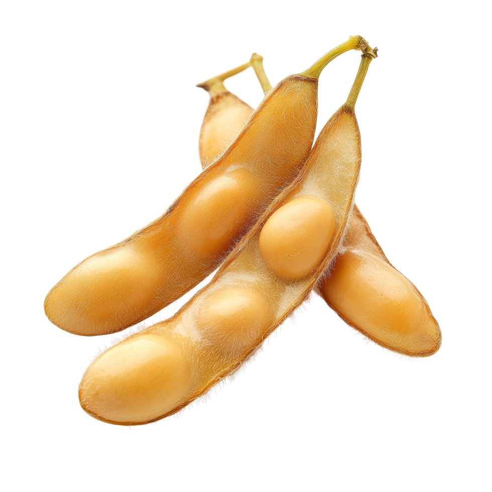 Closeup of fresh soybean pods isolated on transparent background showcasing their natural texture and color, Soybean isolated on transparent background, closeup png