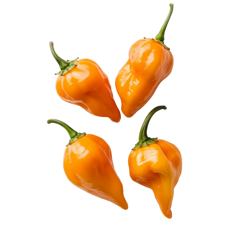 Fresh orange peppers arranged on a clean transparent background, showcasing their vibrant color and unique shape, orange pepperscapsicum on transparent background png