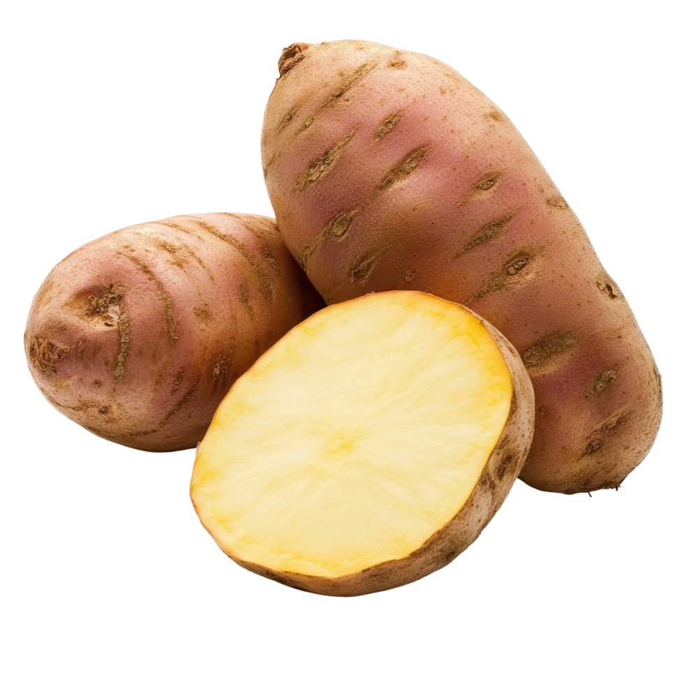 Fresh yam potato displayed on a transparent background showcasing its natural texture and color variations, yam potato on transparent background png