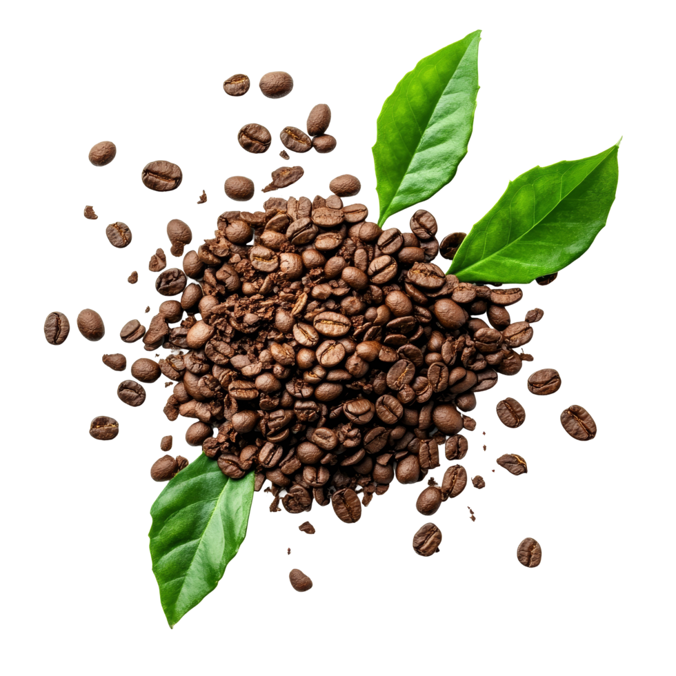 Rich coffee grains and fresh leaves scattered on a transparent surface create a vibrant contrast and showcase the essence of instant coffee, coffee grains. instant coffee and leaves on transparent png