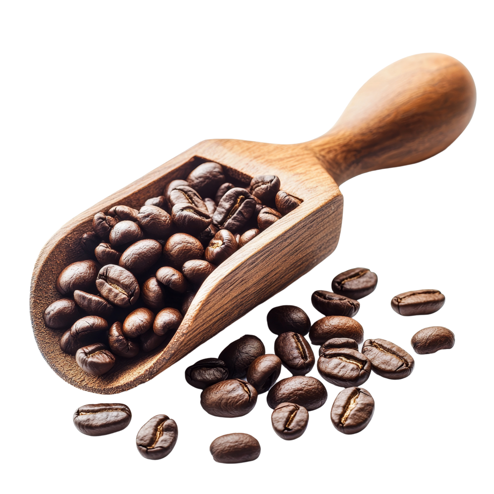 Fresh coffee beans in a wooden scoop arranged on a transparent background with additional beans scattered around, Coffee beans on wooden scoop isolated on transparent background png