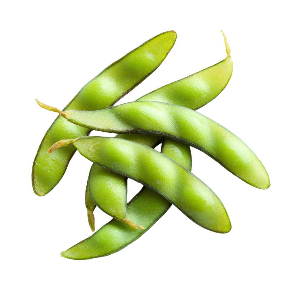 Fresh edamame beans isolated on a clean transparent background for culinary presentation and healthy eating inspiration, Edamame beans isolated on transparent background png