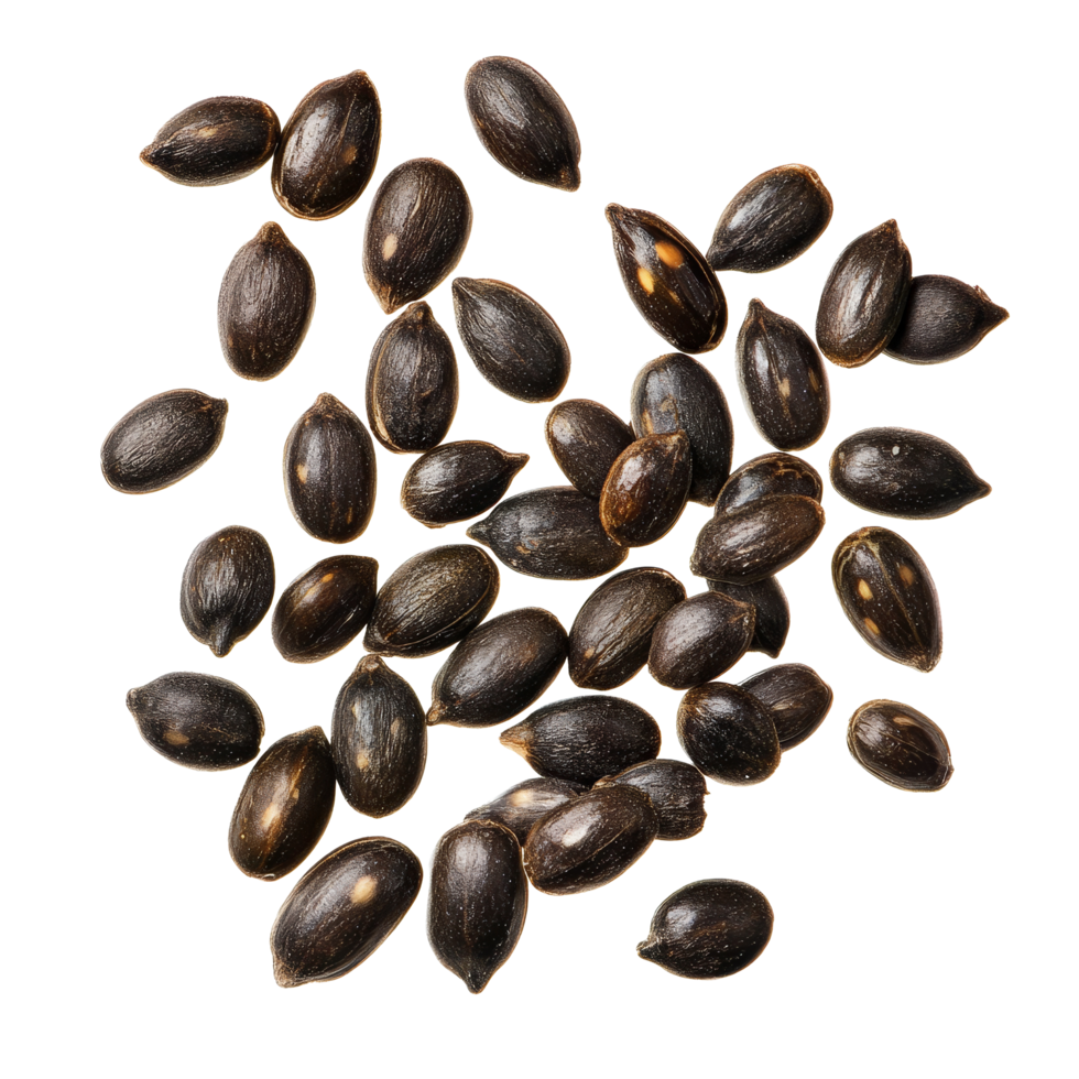 Isolated watermelon seeds scattered on a clean transparent background, highlighting their unique shape and texture, Watermelon seeds isolated on transparent background png