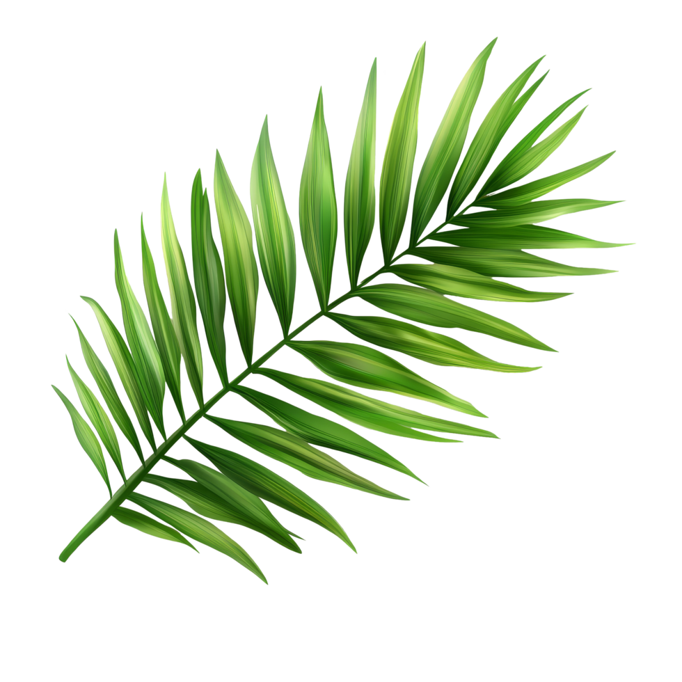 Tropical green palm leaves gracefully isolated on a transparent background for design and decoration purposes, green tea leaves isolated on transparnt png