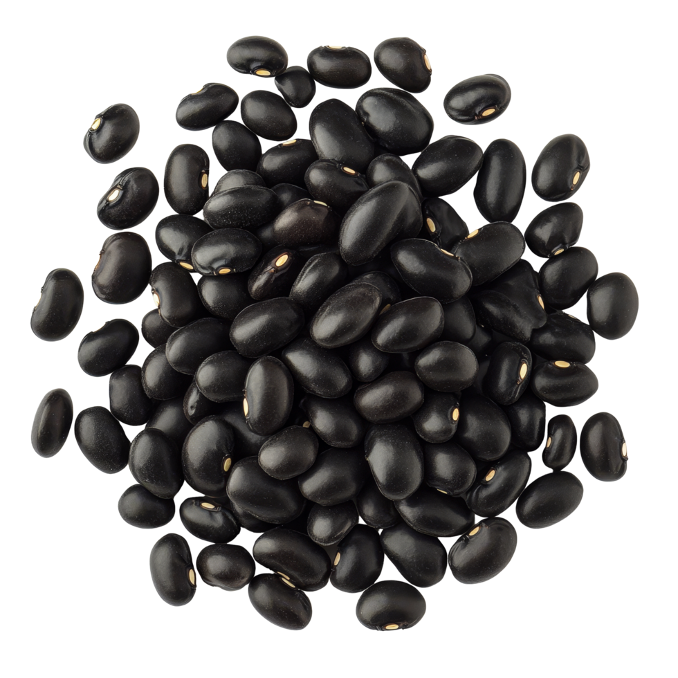 Closeup view of organic green kernel black bean isolate showcasing its rich color and texture under natural light, Close up of organic green kernel black bean png