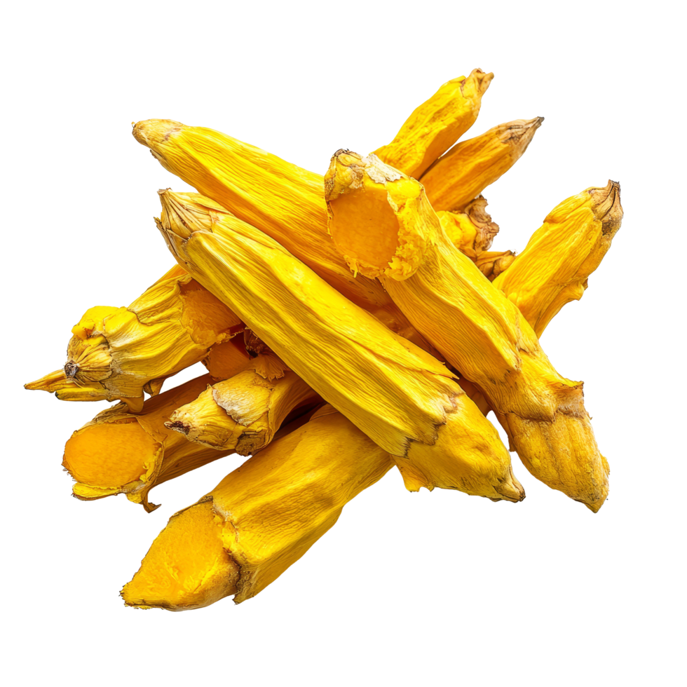 Curcuma xanthorrhiza roots displayed on transparent background, showcasing the vibrant colors and unique texture of this medicinal herb, Curcuma xanthorrhiza Roxb. Wanchakmotluk on transparent png