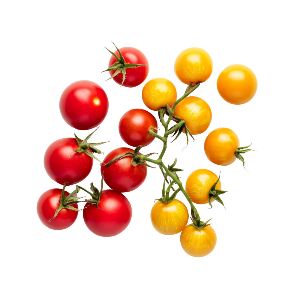 A colorful assortment of red and yellow tomatoes arranged beautifully on a clean transparent background, red and yellow tomatoes on transparent background png