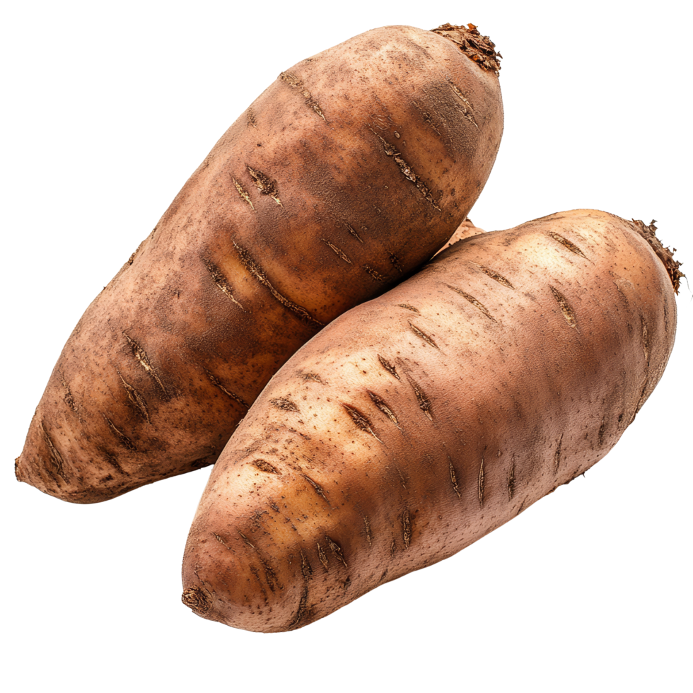 Fresh yams displayed on an isolated transparent background, showcasing their unique shape and earthy tones, yams potato on isolated transparent background png