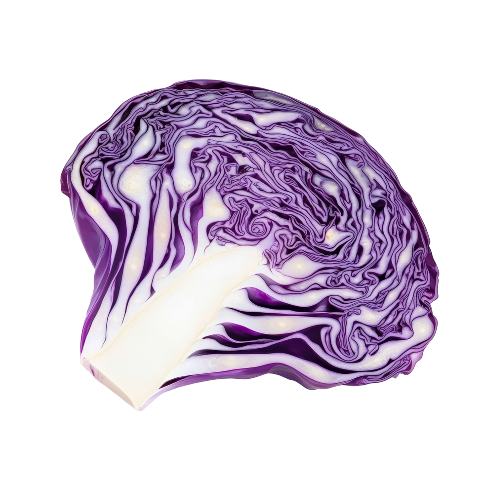 Freshly sliced red cabbage showcasing vibrant color and intricate texture on a clean, transparent background, slice red cabbage isolated on transparent background png
