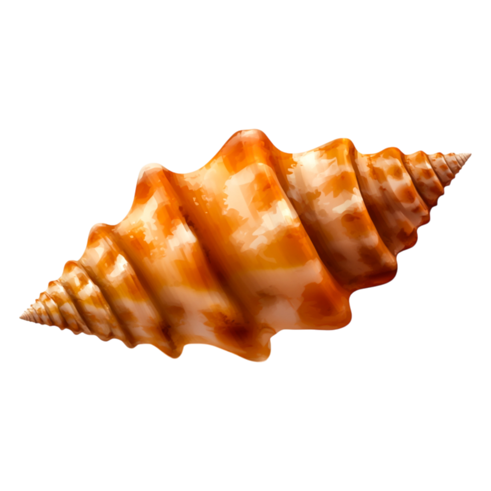 Detailed Shell with Beautiful Patterns and Warm Colors png