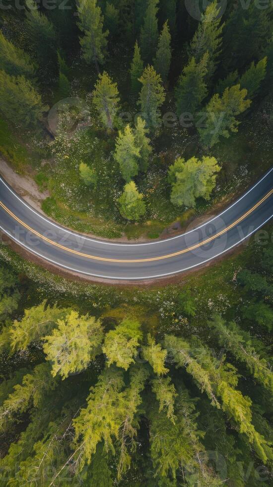 An aerial view of a winding road through a forest photo