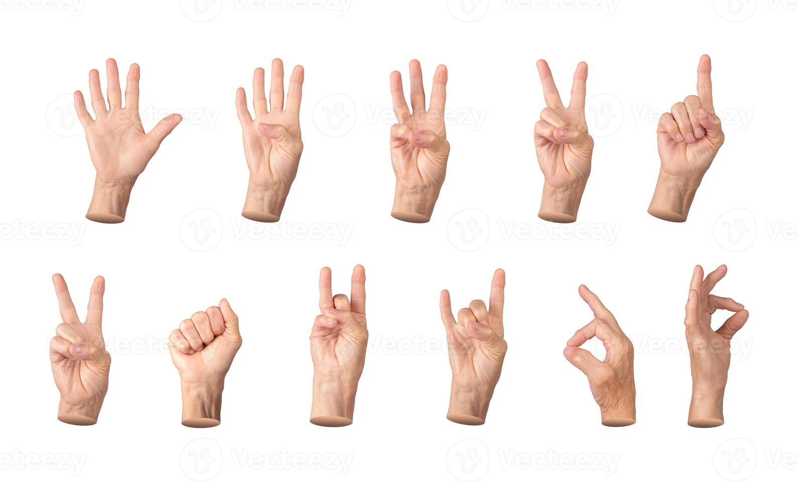 Set of elderly female hands displaying various gestures, including counting from one to five, thumbs photo