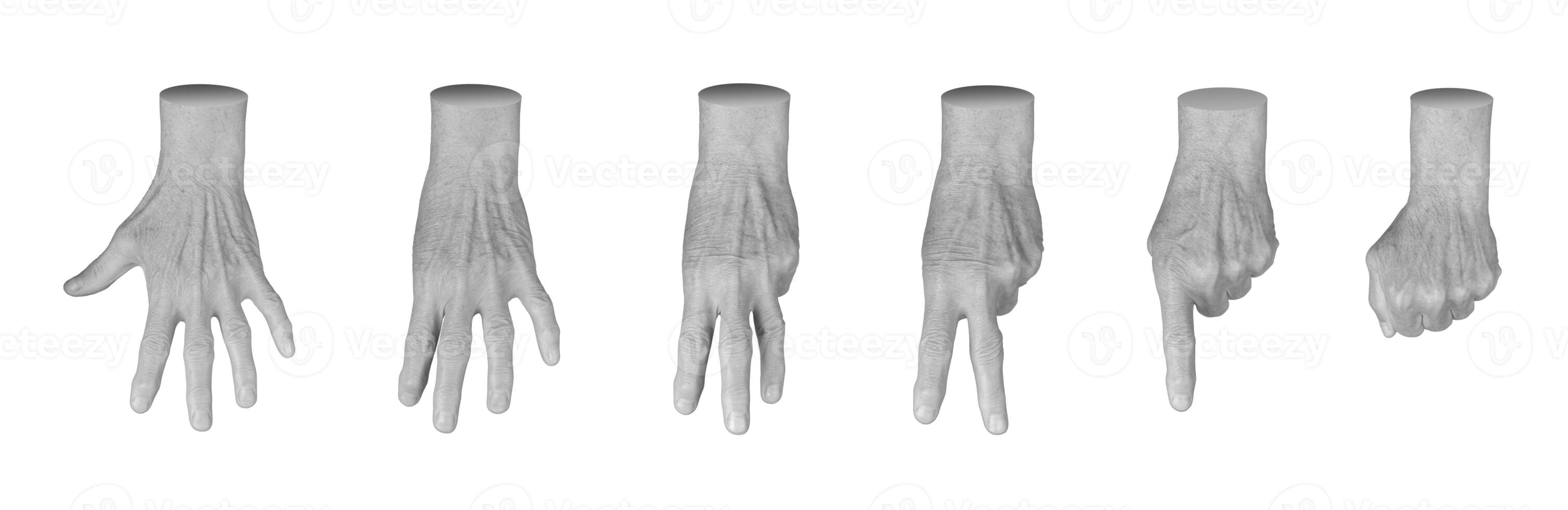 Set of elderly female hands displaying various counting gestures, including one to five, zero, and a photo