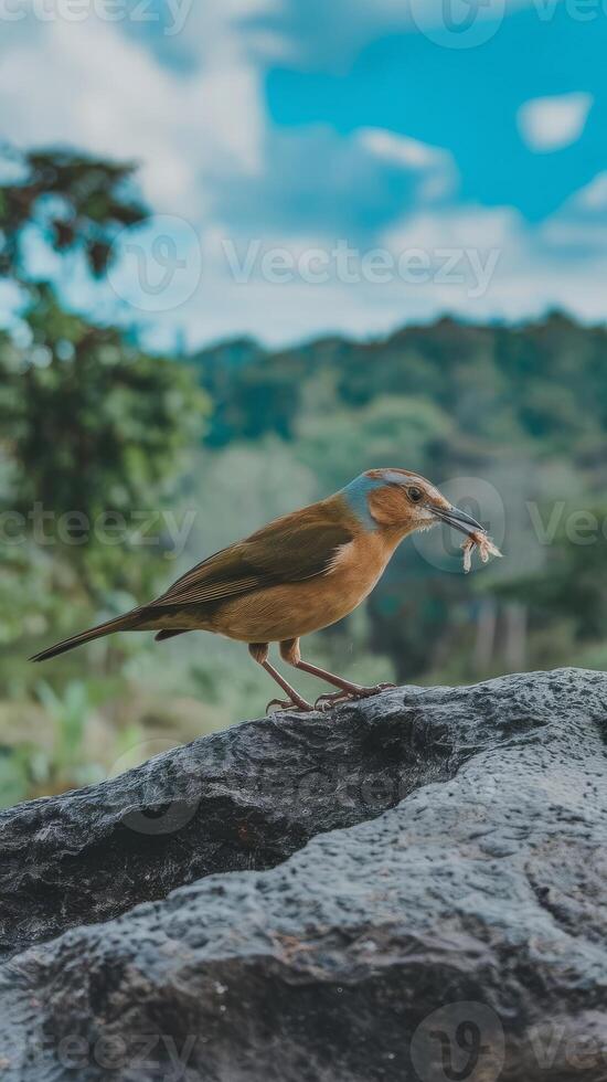 A bird with a fish in its mouth photo